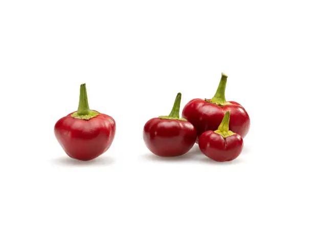 Cherry peppers on white background. Mild to moderatly hot and sweet peppers, often pickled.
