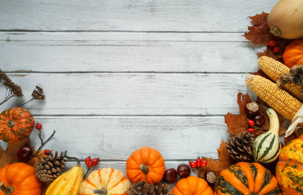Fall flat lay composition for Thanksgiving or Halloween, with various autumn pumpkins and copy space.
