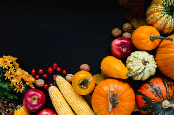 istock Autumn or fall flat lay composition with pumpkins. Thanksgiving concept, copy space on black background. 1439816510