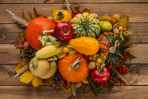 Variety of edible and decorative gourds and pumpkins. Fall flat lay composition of different squash types with cones, nuts, corn on the cob, kaki, rosehips, physalis peruviana fruits and autumn leaves.