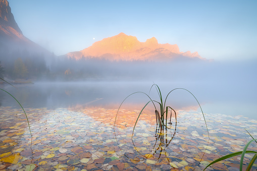 Lake with blue water. Pond. Autumn natural background. Yellow autumn foliage. Beautiful nature. Fairy forest. Sunny day