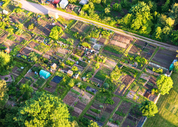 istock English allotment from the air 1439817570