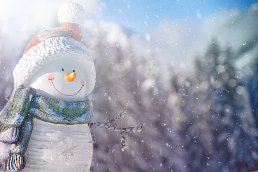 Smiling Snowman in a Beautiful Magic Winter Day