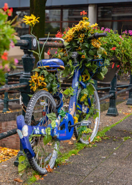 Colorful Bicycle and Flowers