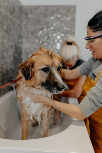 istock I love it when you shampoo me 1439821501