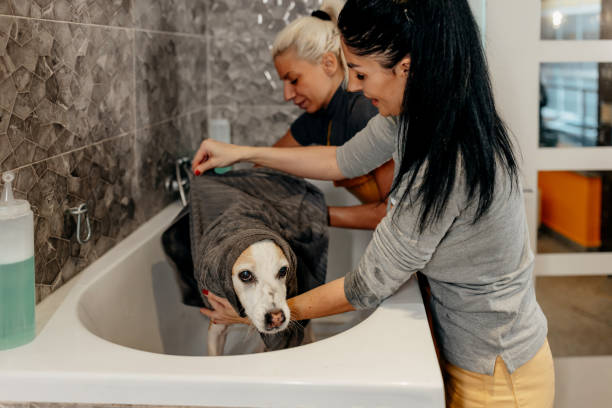 istock What are we going to do next? 1439822720