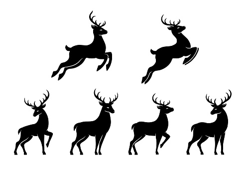 Set of black deer silhouettes on white background. Vector illustration.