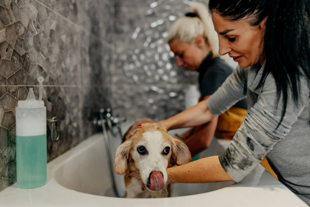 istock Now I took a bath and never again 1439823107