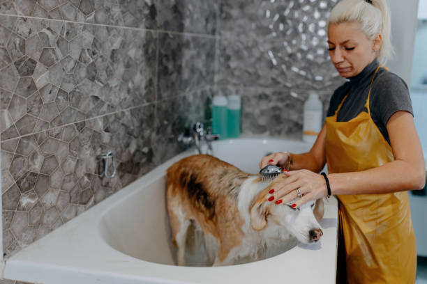 istock Take it easy, the water is not scary 1439823271