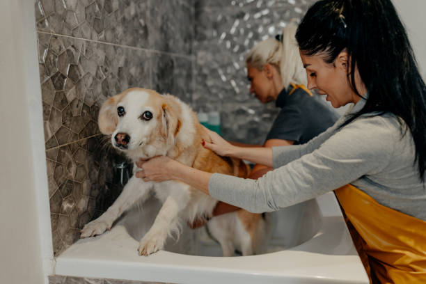 istock Mom please take me home 1439823352