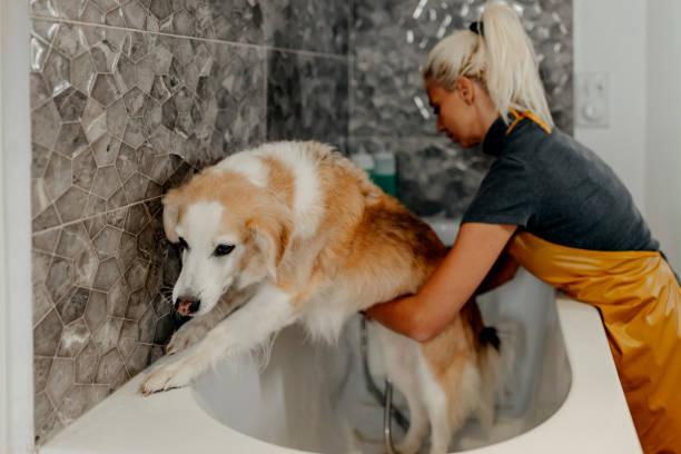 istock I have to escape somehow 1439823356