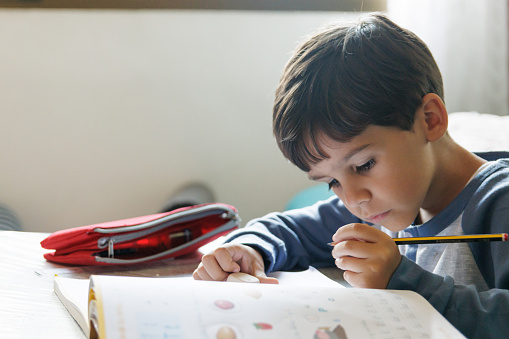 Boy doing homework at home, horizontal