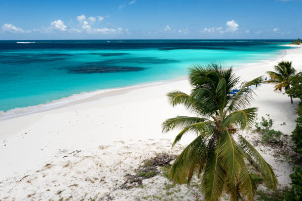 istock Shoal Bay Aerial 1439825928
