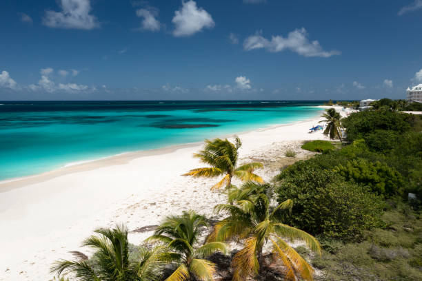 istock Shoal Bay Aerial 1439826908