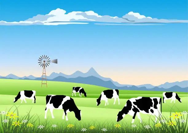 Vector illustration of Idyllic Farm Scene. Holstein Cattle and Old Windmill in a Field.