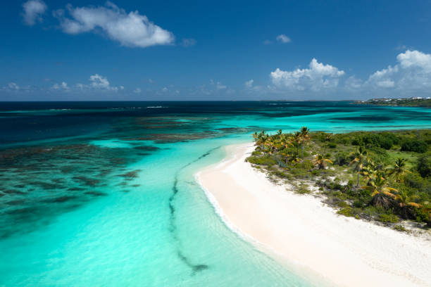 istock Shoal Bay Aerial 1439830579