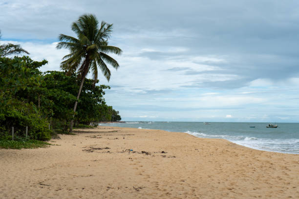 istock Trancoso beach in bahia brazil 1439830616
