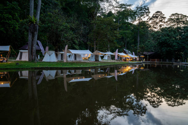 istock Camping tent in rainforest in evening 1439830849