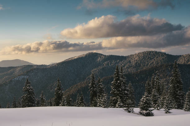 Landscape in the winter in the mountains at sunset. Snow covers the wooded peaks. stock photo