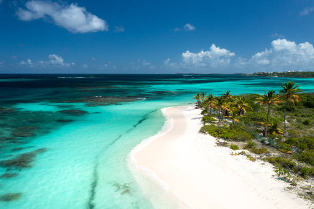 istock Shoal Bay Aerial 1439832372