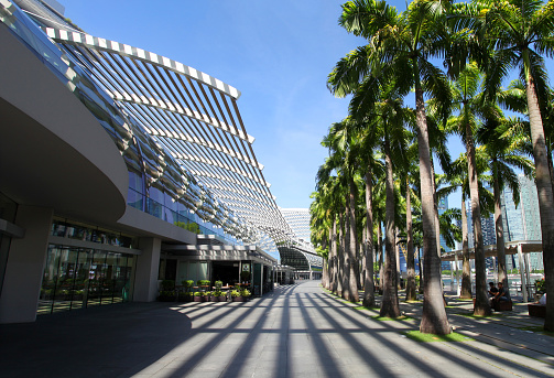 A view of the pedestrian road and building of The Shoppes shopping mall at Marina Bay Sands in Singapore with repetitive shadows palm trees and a blue sky.