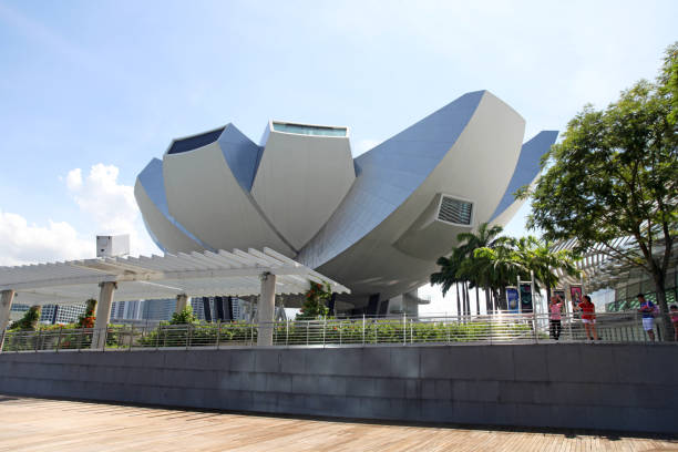 музей artscience в марина бэй сэндс в сингапуре - artscience museum стоковые фото и изображения
