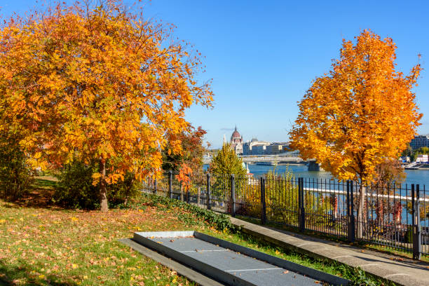 istock Autumn foliage in Budapest, Hungary 1439839676