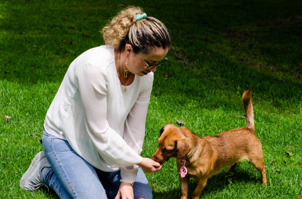 istock Woman playing with dog in public park and copy space 1439842111