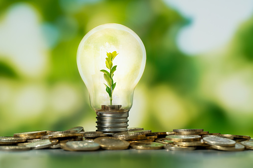 Close up photo of lightbulb with growing plant inside and coin stacks as a symbol of money saving. Concept of money, investment and  startup business idea.