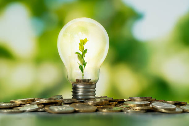 close up photo of lightbulb with growing plant inside and coin stacks as a symbol of money saving. - energy saving fotos imagens e fotografias de stock