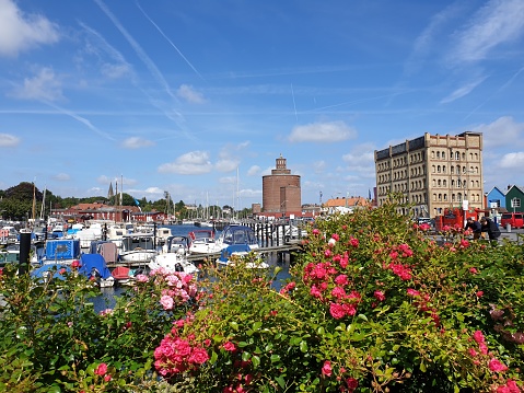 Flowering plants in front of the Eckernförde city harbor with a view of the shipyard, the old warehouse and the old silo