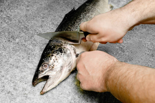 istock Man cutting fresh salmon fish at kitchen dark table, close up, raw seabass preparing for cooking 1439846760