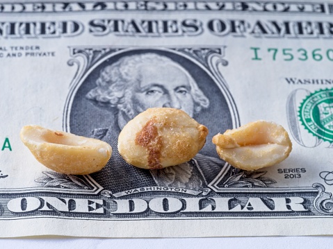 George on the greenback hiding behind a row of peanuts. An American US dollar bill with a row of low value peanuts in front of George Washington's face. A concept of declining value or inflation.