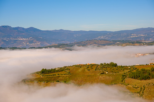 Viewpoint of São Leonardo da Galafura in the Douro Valley with the fog not allowing you to see the Douro River
