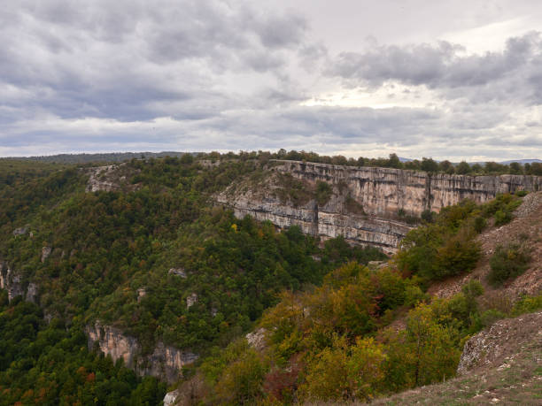istock Autumn time in Navarra forrest 1439849472