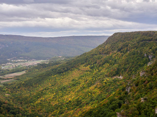 istock Autumn time in Navarra forrest 1439849579