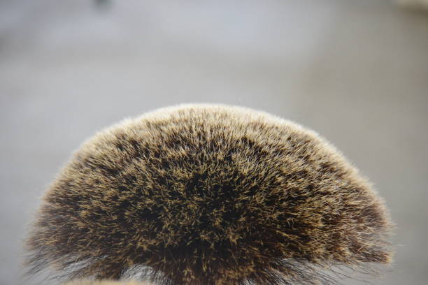 istock A goat hair in a bunch from Berchtesgaden 1439851475