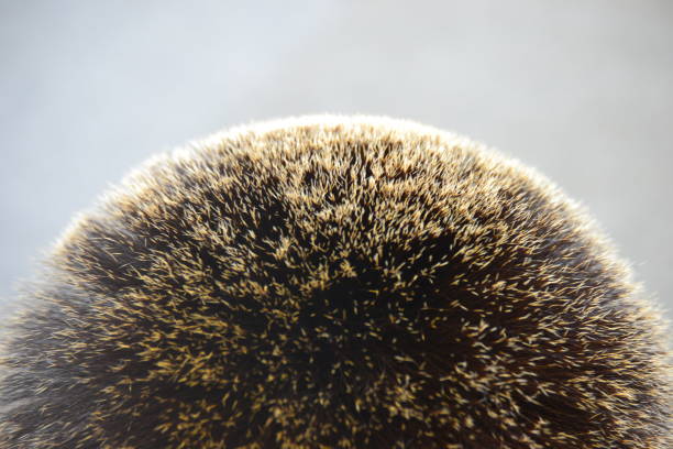 A goat hair in a bunch from Berchtesgaden