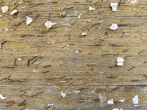 Close shot of a notice board covered with staples.