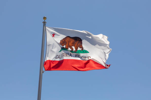 istock flag with the bear as symbol for California 1439858011
