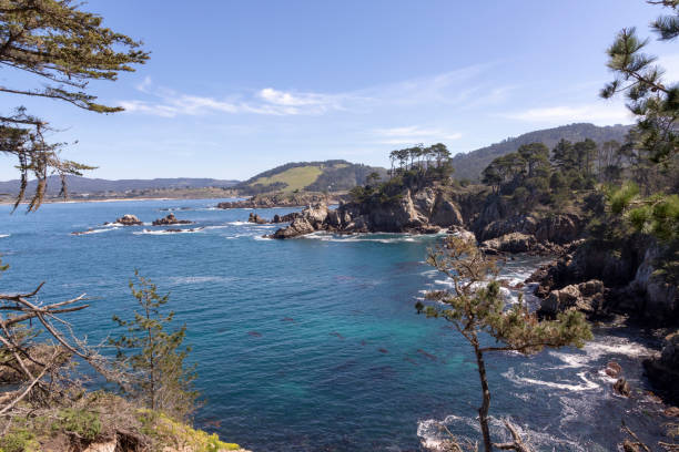istock scenic coastal landscape at Point Lobos 1439858063