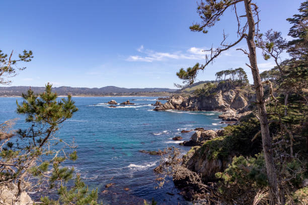 живописный прибрежный пейзаж в пойнт-лобос - point lobos state reserve big sur california beach стоковые фото и изображения