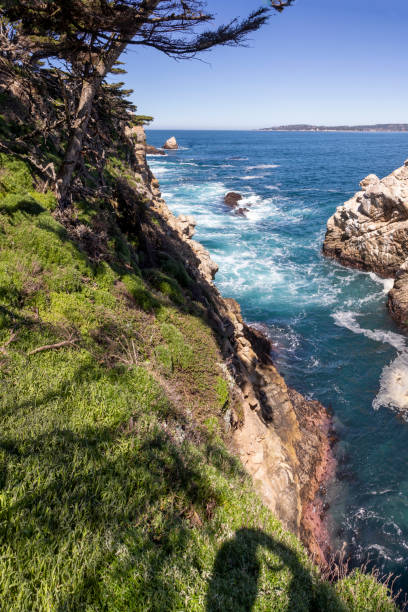 живописный прибрежный пейзаж в пойнт-лобос - point lobos state reserve big sur california beach стоковые фото и изображения