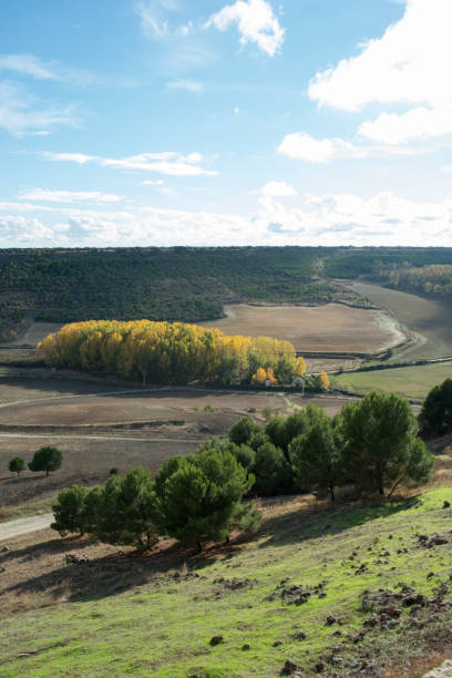 istock Autumn colors in a beautiful meadow. 1439859263