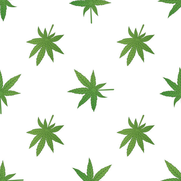 Marijuana Vector Pattern 50+ Cannabis Hydroponics Stock Illustrations, Royalty-Free Vector ...