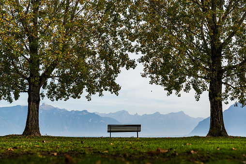 Bench with alps view