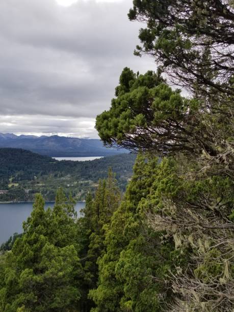 istock Beautiful landscape in Bariloche 1439861373