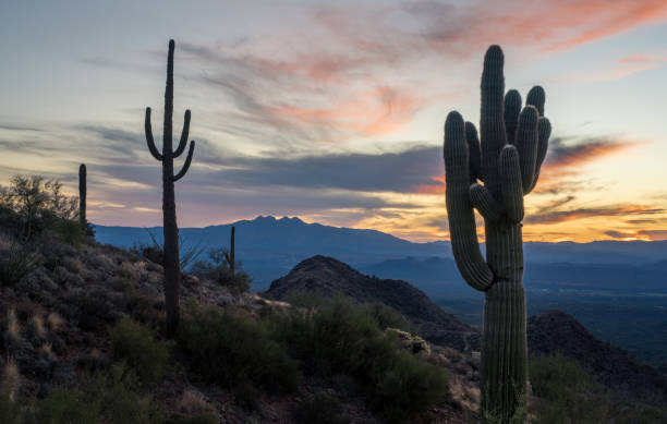 istock Sunrise in the Majestic McDowell Mountains 1439862870