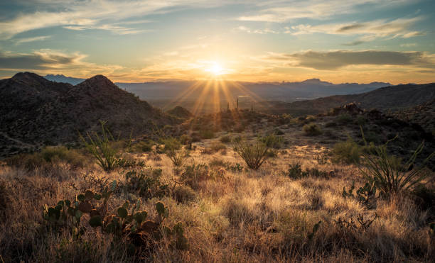 istock Sunrise in the Majestic McDowell Mountains 1439862873