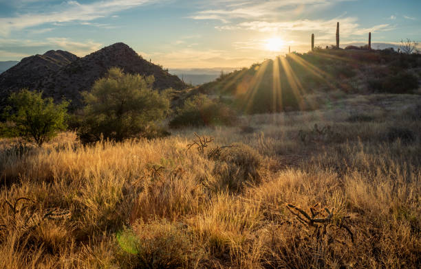 istock Sunrise in the Majestic McDowell Mountains 1439862894